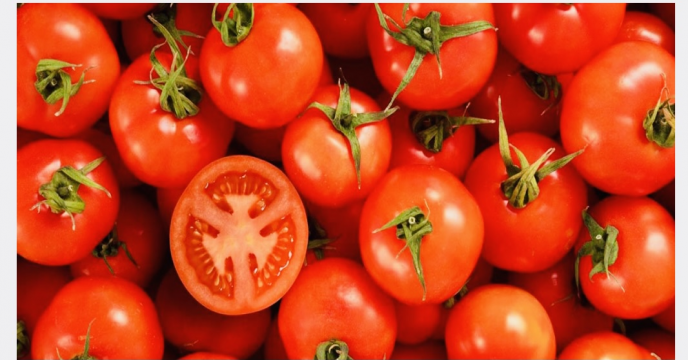 ارسال  کود اوره به مقصد کارگزاران شهرستان مرودشت استان فارس