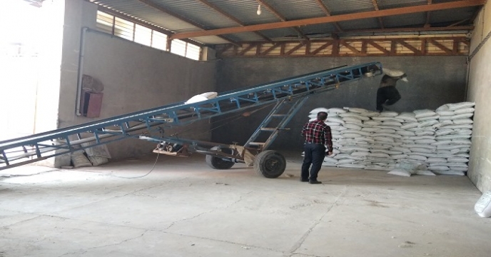 شرکت خدمات حمایتی کشاورزی استان زنجان 