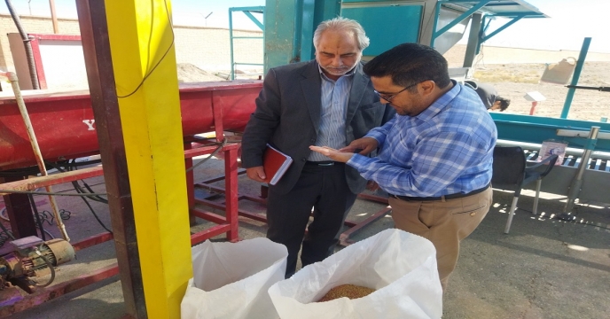 بازدید مدیر شرکت خدمات حمایتی کشاورزی خراسان جنوبی از سایت بوجاری 