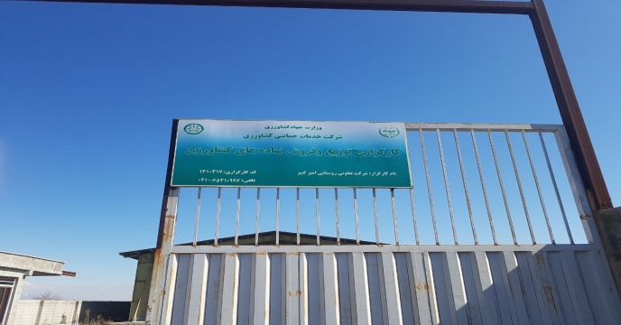 بازدید از انبار کارگزاران شرکت خدمات حمایتی کشاورزی استان تهران