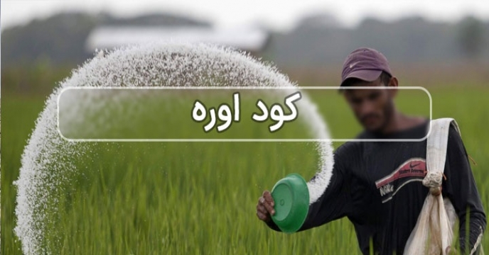 توزیع بیش از7597 تن انواع کود ازت در آبان ماه سال جاری