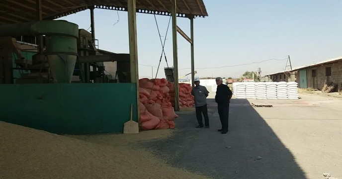 آغاز عملیات بوجاری بذر جوو گندم در استان مرکزی – شهریور ماه 1400