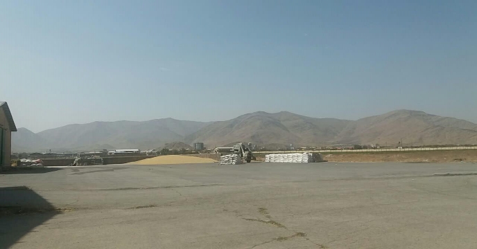 آغاز عملیات بوجاری بذر جوو گندم در استان مرکزی – شهریور ماه 1400