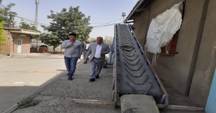 بازدید سرپرست شرکت خدمات حمایتی کشاورزی استان تهران از انبارهای سازمانی ( ذخیره نهاده های کشاورزی )