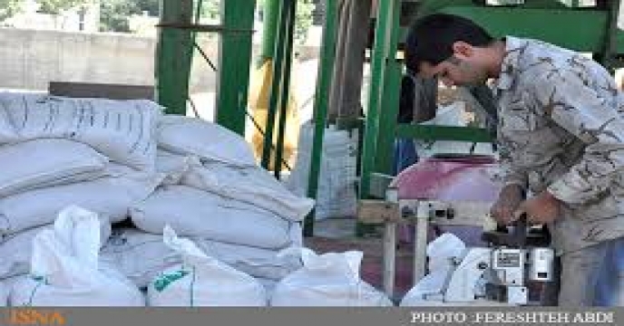 تامین 140 تن گندم بذری شهرستان شاهرود و میامی