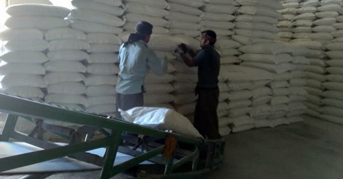 عملیات بارگیری و حمل کود شیمیایی در شرکت خدمات حمایتی کشاورزی استان همدان