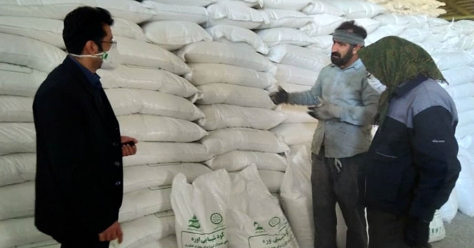 عملیات بارگیری و حمل کود شیمیایی در شرکت خدمات حمایتی کشاورزی استان همدان