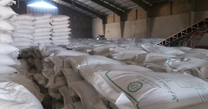 توزیع کودهای اوره و سوپرفسفات تریپل در شهرستان خمین