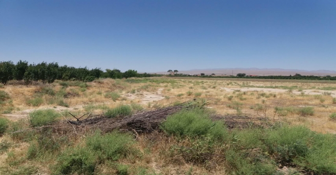 مستند سازی املاک واقع در شهرستان ساوه خرداد ماه 1399 - استان مرکزی