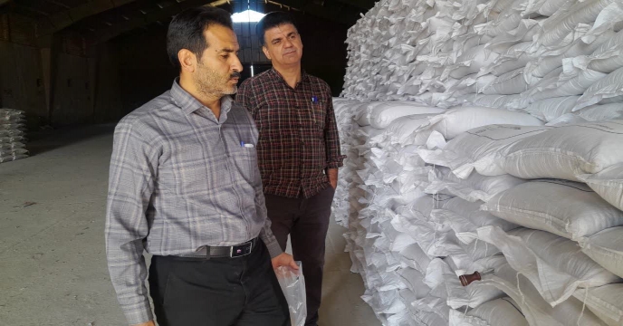 نمونه برداری از کود کلرور پتاسیم گرانوله تولید شرکت داخلی مجتمع فراورده های فسفات کارون خور بیابانک در مجتمع انبارهای کود شهید شاملو ، استان مرکزی 