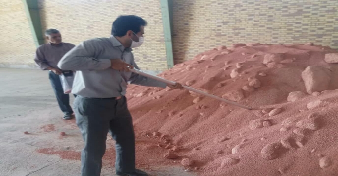 نمونه برداری از کود کلرور پتاسیم گرانوله در انبار سازمانی استان مرکزی