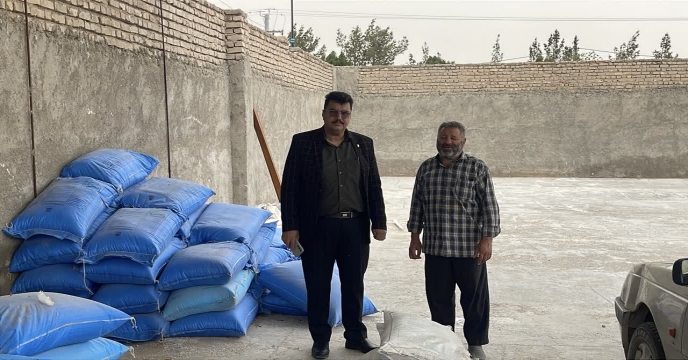 بازدید