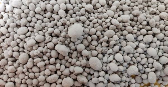 مقدار 5/5 تن کود سوپر فسفات تریپل بهمن ماه سالجاری در اختیار کشاورزان شهرستان اراک قرار گرفت .