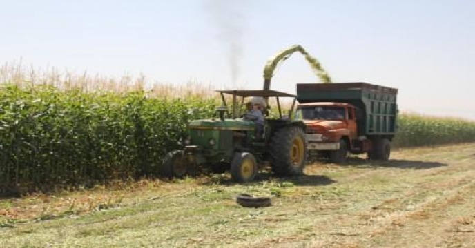 متوسط عملکرد زراعی در استان البرز 3 برابر متوسط کشوری است.