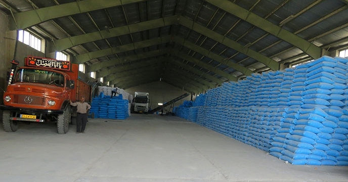 تامین و توزیع 110 هکتار از مزارع چغندر قند