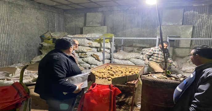 سورتینگ