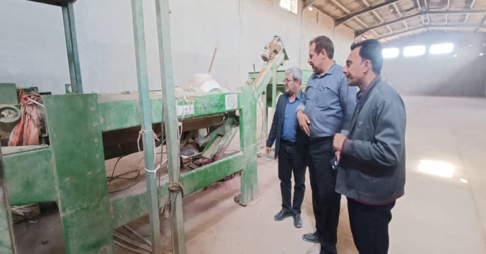 بازدید