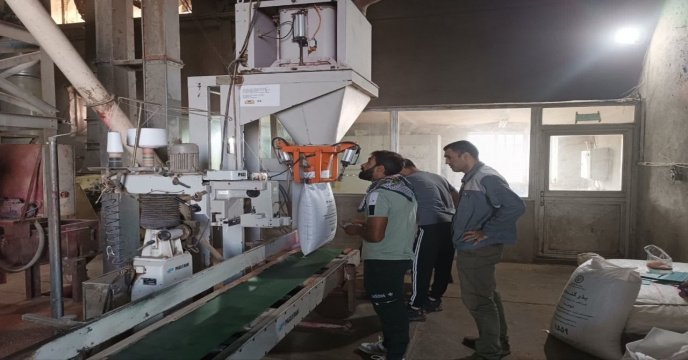 بوجاری بذر گندم