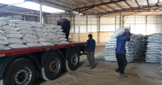 تامین کود سوپر فسفات تریپل