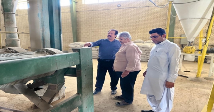بازدید3