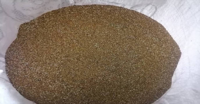 بذر یونجه