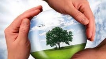 برآورد میزان تأثیر سواد زیست محیطی بر توسعه کشاورزی شیراز