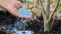 پیش بینی درازمدت تقاضای مصرف کودهای شیمیایی در کشاورزی ایران