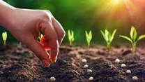 استراتژی تحقیقاتی و مدیریتی تولید بذر