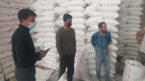 تامین و توزیع 75 تن کود کشاورزی اوره به کارگزاران شهرستان چالدران