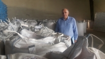 بازدید از بذور گندم طبقه پرورشی 