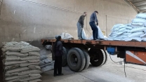 توزیع بیش از 21 هزار و 500 تن کود کشاورزی برای کشت گندم در استان همدان