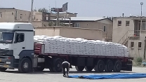 توزیع ۱۸۰۰ تن کود یارانه‌ای در شهرستان درگزین همدان توسط شرکت خدمات حمایتی کشاورزی استان همدان