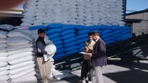 نظارت بر فعالیت کارگزاران کود شهرستان اشنویه توسط کارشناسان پایش شرکت خدمات حمایتی کشاورزی استان آذربایجان غربی