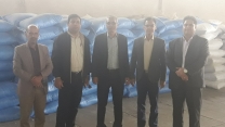 حضور مدیر و معاون شرکت خدمات حمایتی کشاورزی استان اصفهان  در کارگزاری های توزیع کود شیمیایی شهرستان کاشان 