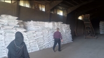 نظارت و کنترل اکیپ پایش شرکت خدمات حمایتی کشاورزی استان قزوین از اتحادیه تعاونی کشاورزی قزوین 