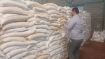 مدیر شرکت خدمات حمایتی گیلان: کود فسفات به‌موقع و به اندازه کافی در سال زراعی گذشته تامین شد