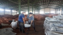 تامین و توزیع 144هزار تن انواع کودهای کشاورزی در مازندران