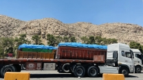 بیش از 400 تن کود کشاورزی برای توزیع به شهرستان شیراز ارسال شد
