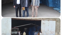 کشت قراردادی گندم درجنوب استان کرمان