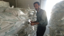 نمونه برداری از کود سولفات پتاسیم پودری تولید شرکت توسعه گستر کویر در انبار مرکزی استان کرمان 