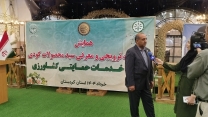 مصاحبه مدیر شرکت خدمات حمایتی کشاورزی استان کردستان با واحد صدا و سیمای استان 