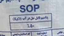 تامین و‌توزیع مقدار۵۰ تن کود سولفات پتاسیم برای کشاورزان شهرستان گمیشان  در پنج‌ماهه سال۱۴۰۴