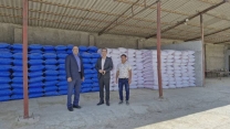 بازدید مدیر شرکت خدمات حمایتی کشاورزی استان گلستان از انبار کارگزاری کودحمید شیری  در شهرستان کلاله