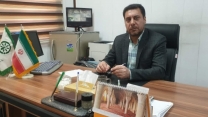 نخستین یارانه نقدی کودهای فسفاته و پتاسه به حساب کشاورزان قمی واریز شد