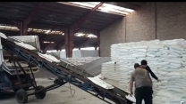 تسهیل در روند توزیع کود؛ گام شرکت خدمات حمایتی کشاورزی برای ارتقای باغداری در گلستان