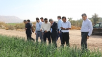 بازدید معاون محترم وزیر در امور زراعت از جنوب کرمان 