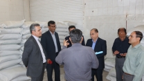 بازدید مدیرکل محترم طرح گندم کشور از انبار کود شرکت خدمات حمایتی کشاورزی جنوب کرمان