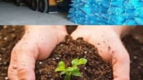ثبت بیش از چهار هزار و۱۷۴فقره حواله الکترونیکی برای توزیع کود یارانه ای کشاورزان شهرستان گمیشان