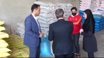 پایش و بازدید از کارگزاری زرین د رشهرستان ساوجبلاغ