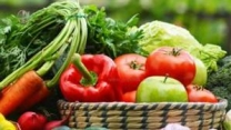 توزیع ۱۵۰ تن انواع کودهای یارانه‌ای بین سبزی و صیفی‌کاران استان قم
